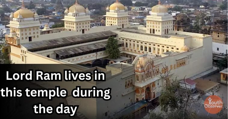 WhatsApp Image 2024 01 20 at 14.40.31 44cead17