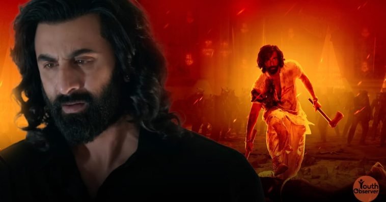 Animal Streaming on Netflix