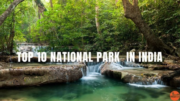 Top 10 National Parks In India: Who Else Do Not Know About These National Parks In India? 1 Top 10 National Parks In India
