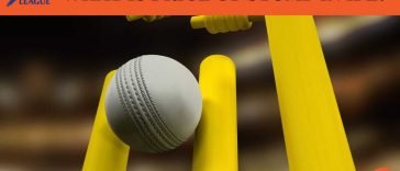 What Is The Price Of Stumps Used In IPL