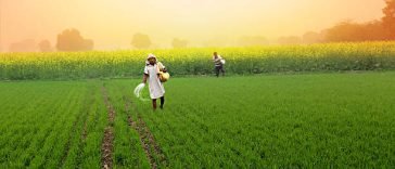 Top 10 Agriculture Companies In India