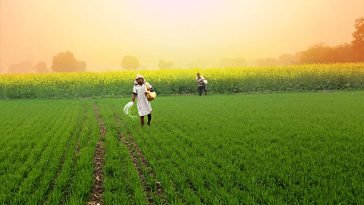 Top 10 Agriculture Companies In India