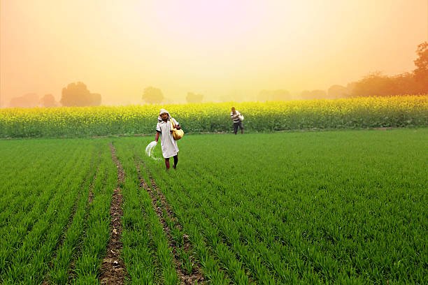 Top 10 Agriculture Companies In India