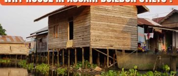 Why Houses In Assam Are Built On Stilts