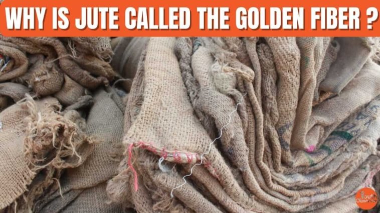 Why Is Jute Called The Golden Fibre